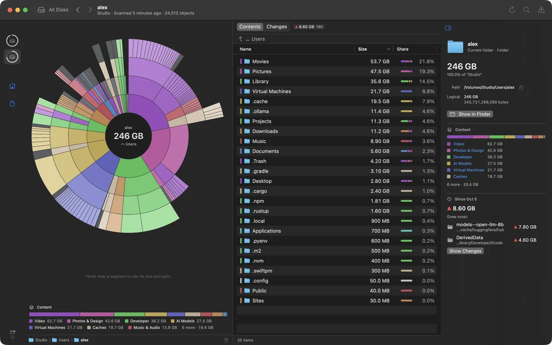 The Diskscape window: a ring map of a home folder, colored by content, beside the list of its folders with their sizes and shares.